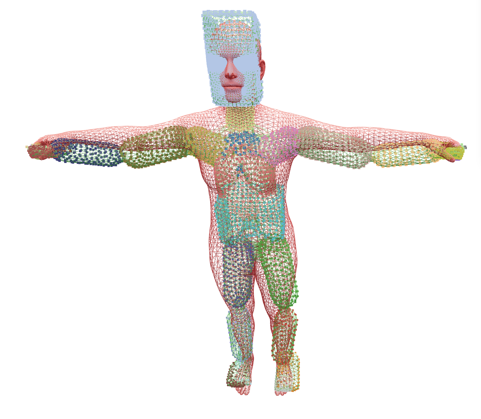 SMPLX to capsule projection