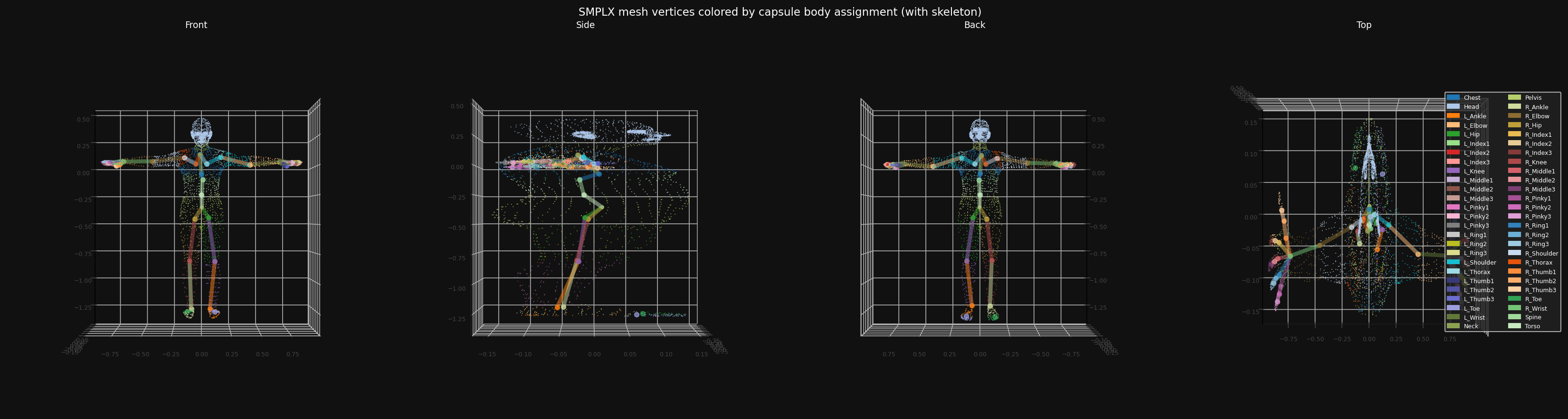 Capsule assignment visualization